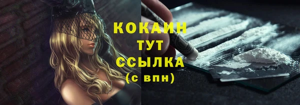крисы Верхний Тагил