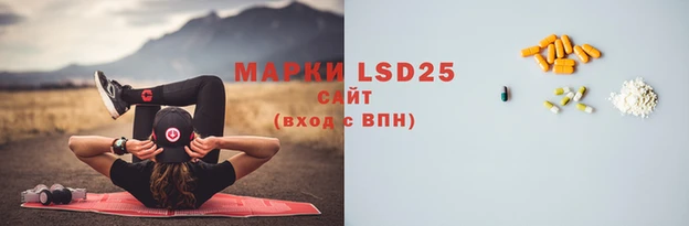 хмурый Бородино
