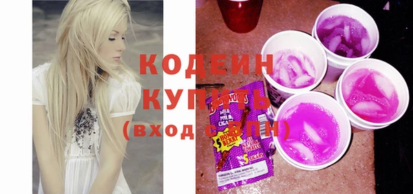 хмурый Бородино