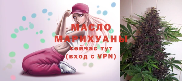 хмурый Бородино