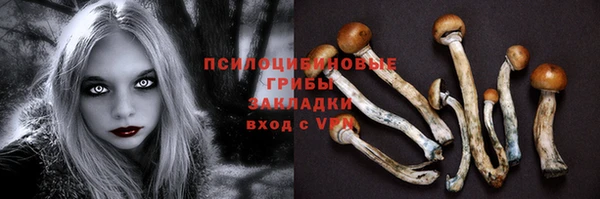 крисы Верхний Тагил